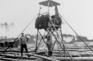 Der Rollwald wurde abgeholzt